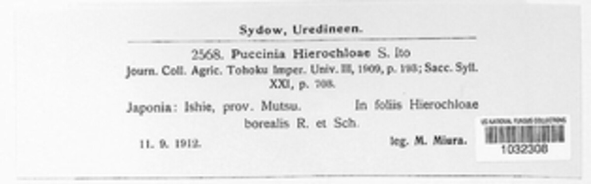 Puccinia hierochloae image